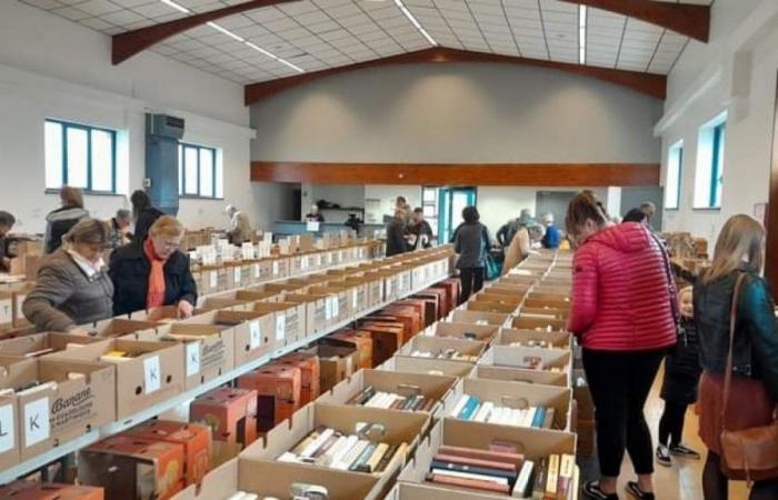 Livres en vente à partir de 0,20 centimes, en Avesnois, ce week-end