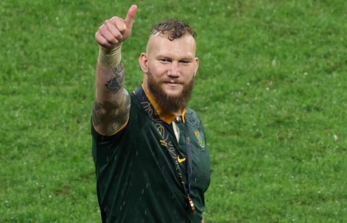 L’Afrique du Sud enregistre le retour de RG Snyman, Mostert, Damian Willemse et Esterhuizen pour une tournée d’automne