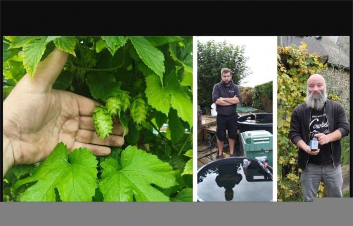 Le houblon de sa bière est enrichi d’une matière surprenante