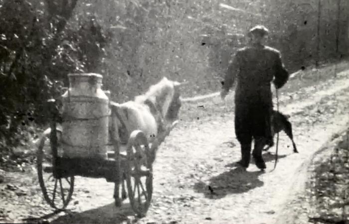 images inédites de la laiterie La Viette exhumées à Vouhé