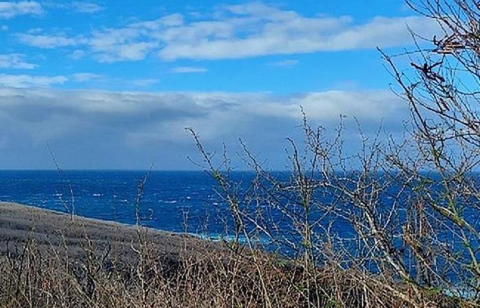 vigilance jaune, vents forts (80km/h), au Sud-Est et au Sud