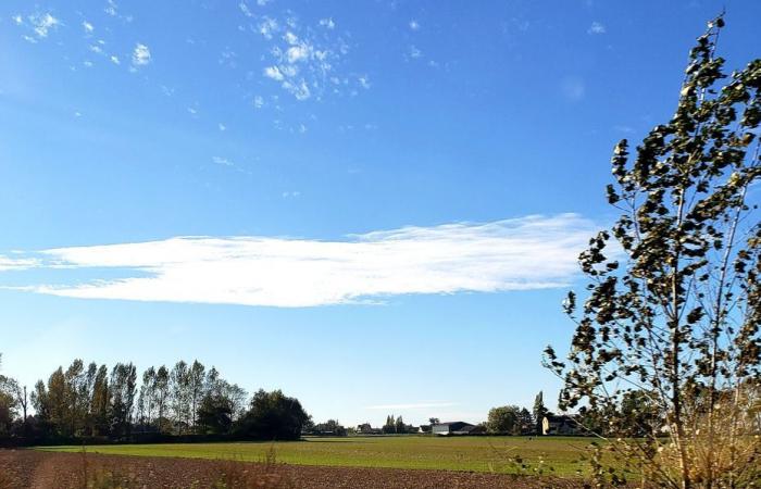 Bulletin météo. Quelle météo fait-il ce jeudi 24 octobre dans les Hauts-de-France ?