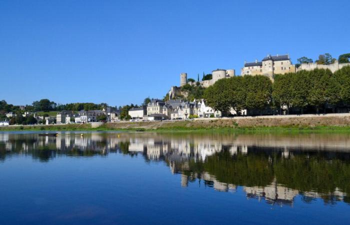 Lutte contre les inondations. Travaux de renforcement des digues réalisés en Indre-et-Loire