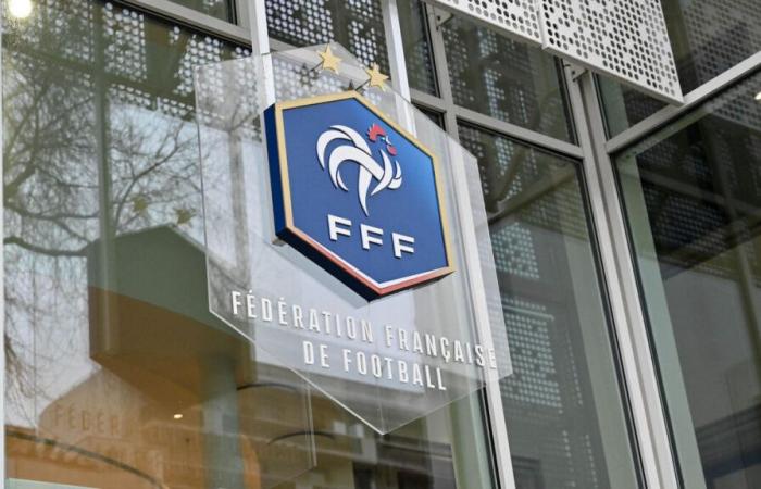 Pierre Samsonoff annonce sa candidature à la présidence de la FFF