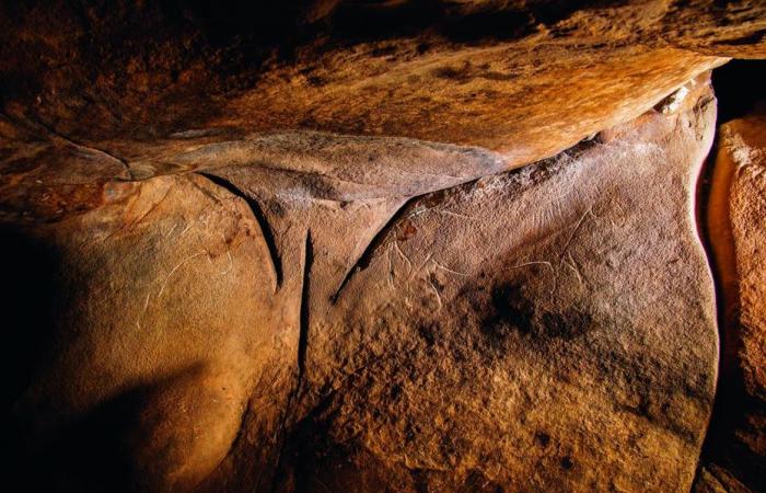 creusée dans la roche, 21 000 ans avant Courbet, une incroyable « Origine du Monde » préhistorique