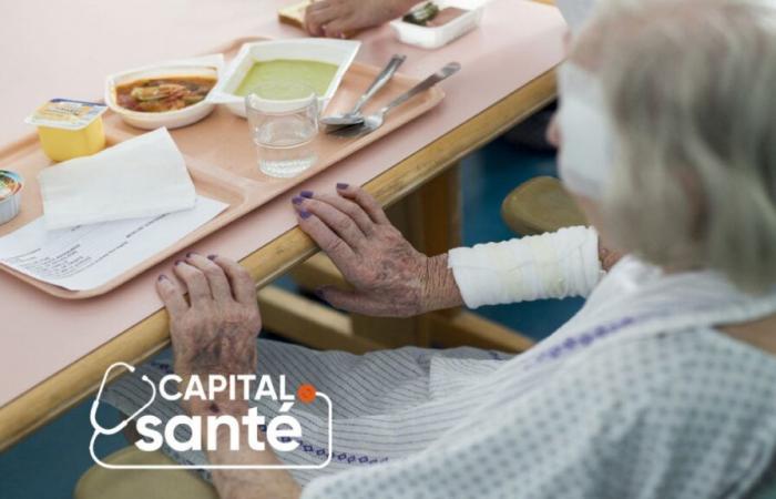 quelle est l’alimentation idéale pour nos seniors ?