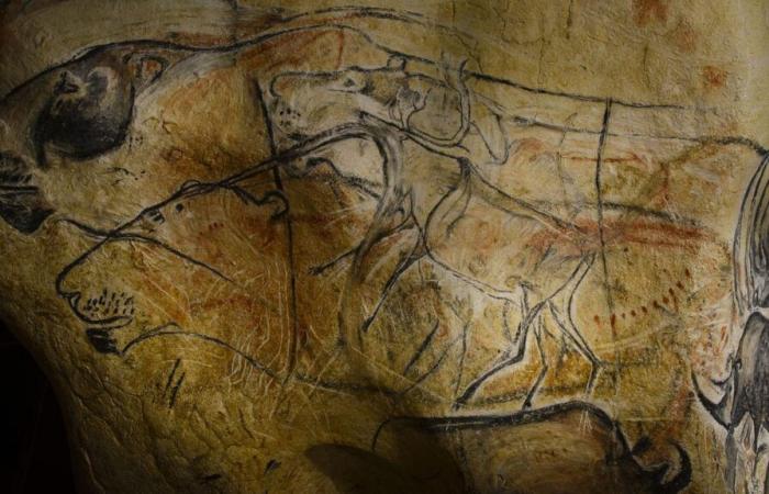 Mettez-vous dans la peau des chercheurs de la grotte Chauvet à la Cité des sciences et de l’industrie avec une exposition ludique et instructive