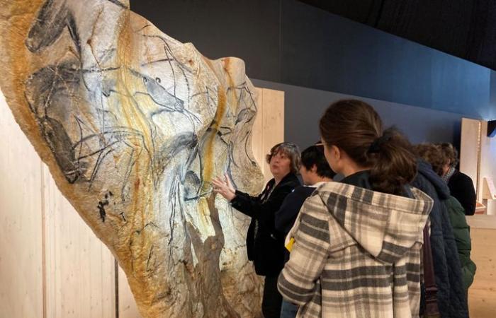 Mettez-vous dans la peau des chercheurs de la grotte Chauvet à la Cité des sciences et de l’industrie avec une exposition ludique et instructive