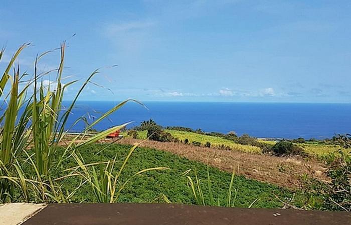 pluvieux à l’Est, au Sud-Est et lumineux du Sud au Nord