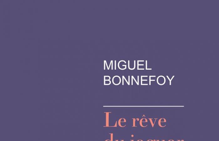 Miguel Bonnefoy remporte le Grand Prix du Roman de l’Académie française