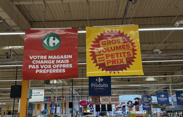 Cora/Carrefour : Jour J pour la vague 1