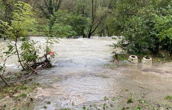 les Alpes Maritimes sont en alerte orange “pluie-inondation”, l’ouest du département le plus humide