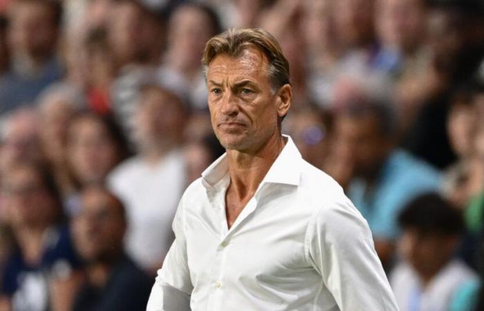 Hervé Renard, son grand retour se précise !