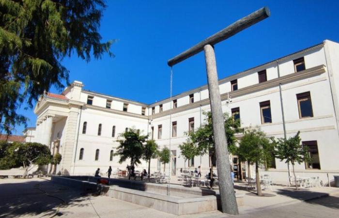 Pourquoi la fontaine Italique, installée il y a 4 ans à Toulon, perd déjà sa couleur