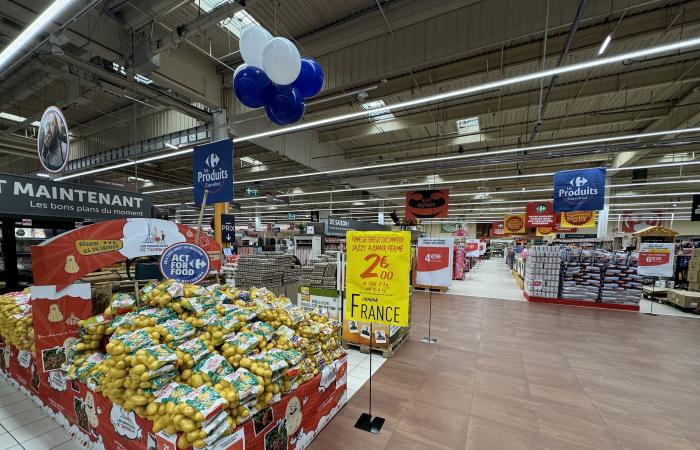 Cora/Carrefour : Jour J pour la vague 1