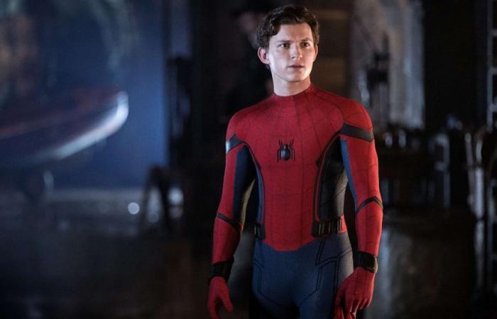 Tom Holland fait le point sur “Spider-Man 4” : “L’idée est folle”