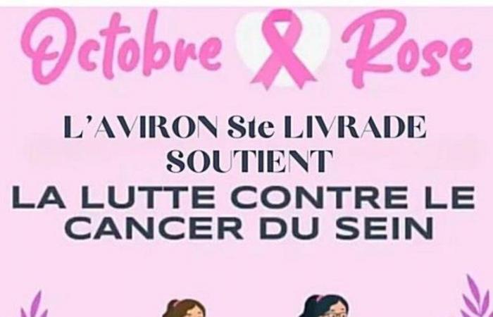 Sainte-Livrade-sur-Lot. Octobre Rose : L’Aviron du Livradais se mobilise