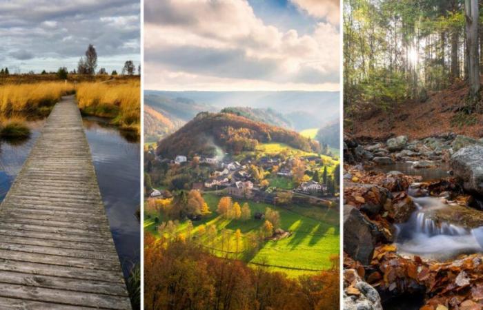 8 balades de moins de 20 km à faire en famille dans les Ardennes