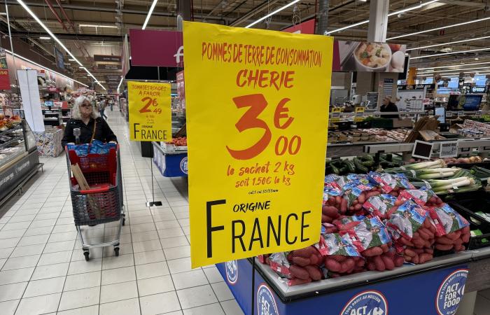 Cora/Carrefour : Jour J pour la vague 1