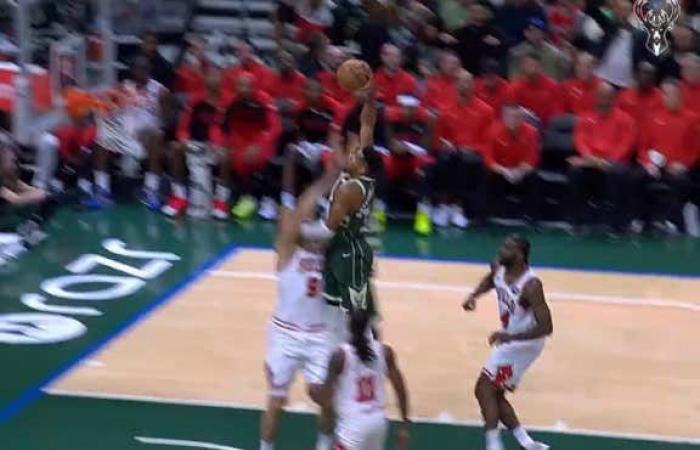 Giannis n’a montré aucun respect pour la vie humaine et a envoyé Nikola Vucevic au centre de la Terre