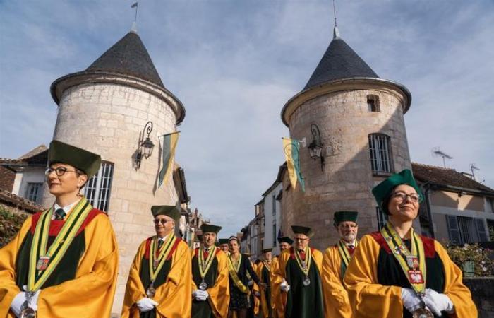 Fête du vin, fête des Cro Mignons, Festilivres… Que faire dans l’Yonne ce week-end du 26 et 27 octobre ?