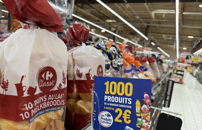 Cora/Carrefour : Jour J pour la vague 1