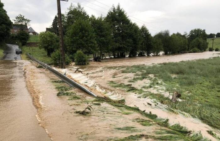 qui est responsable des dégâts lorsqu’ils proviennent d’un champ agricole ?