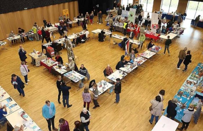 Fête du vin, fête des Cro Mignons, Festilivres… Que faire dans l’Yonne ce week-end du 26 et 27 octobre ?