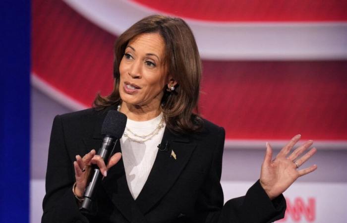 Beyoncé, Bruce Springsteen, Eminem… Kamala Harris mise sur les superstars à quelques jours de l’élection