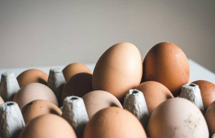 œufs retirés de la vente dans toute la France en raison d’un risque de contamination par les salmonelles