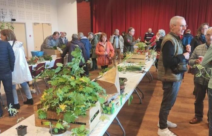 Lassay-les-Châteaux. Deux artistes ont créé une bibliothèque de grains