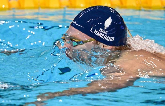 Natation. Léon Marchand bat facilement son propre record de France au 400 m 4 nages