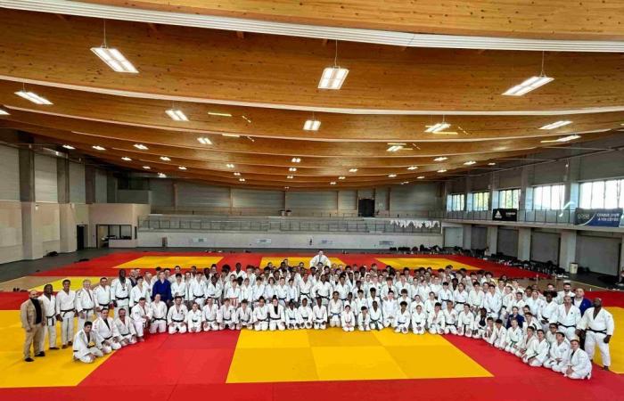 Nogent-sur-Oise. Le comité départemental de judo poursuit les stages de vacances