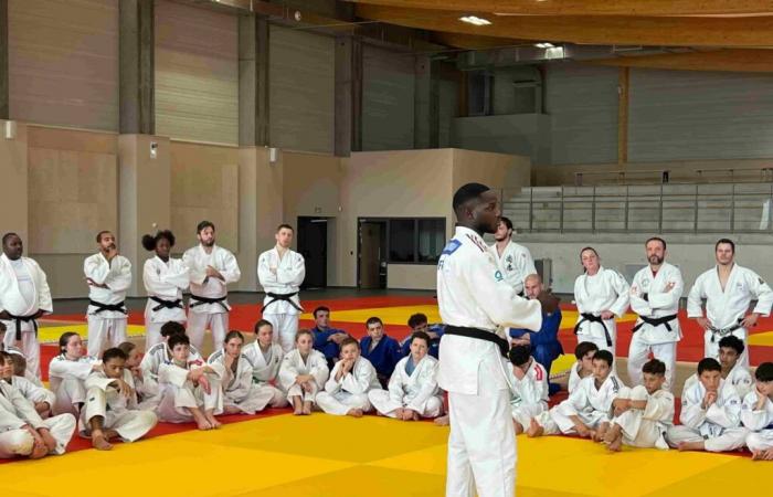 Nogent-sur-Oise. Le comité départemental de judo poursuit les stages de vacances