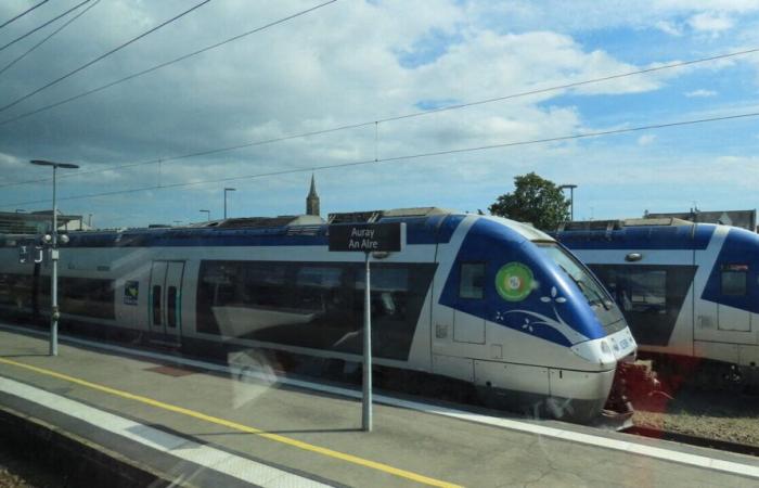 un homme de 37 ans décède heurté par un train en pleine gare