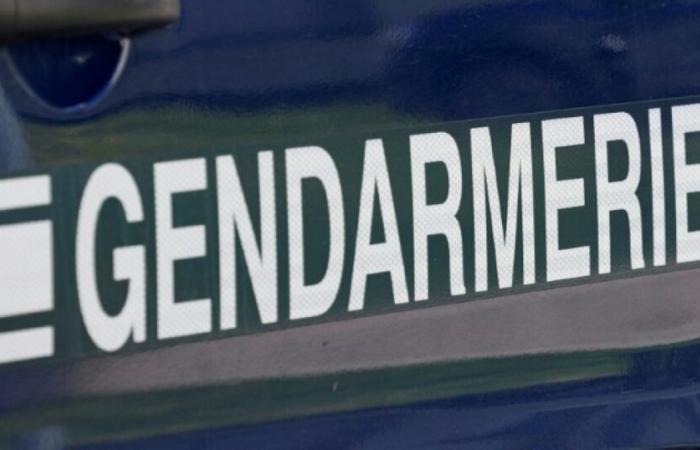 Près de Rennes, un enfant de cinq ans grièvement blessé par balle lors d’une course-poursuite : Actualités