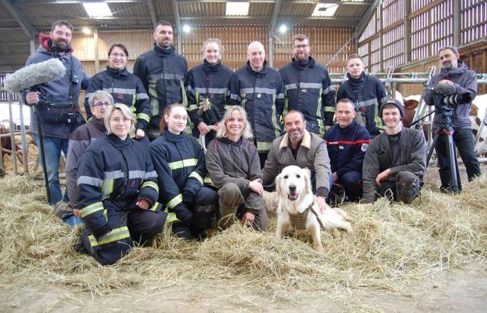 Les pompiers se forment pour sauver les animaux de la ferme afin de mieux intervenir lors d’inondations ou d’incendies