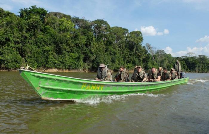 Des militaires varois contre des chercheurs d’or illégaux en Guyane : notre reportage vidéo