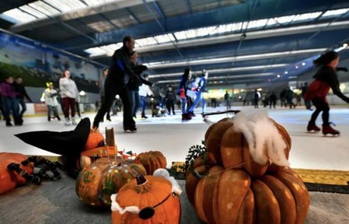 Rouen. Nos idées de sorties en famille pour la deuxième semaine des vacances de Toussaint