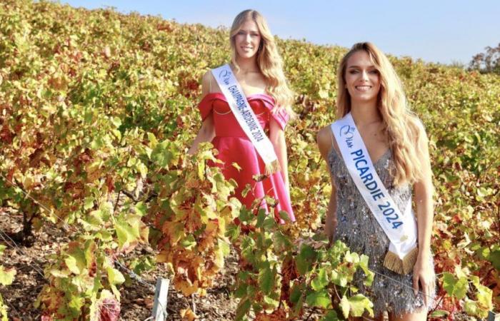 Miss Champagne-Ardenne et Miss Picardie s’associent pour remporter la couronne