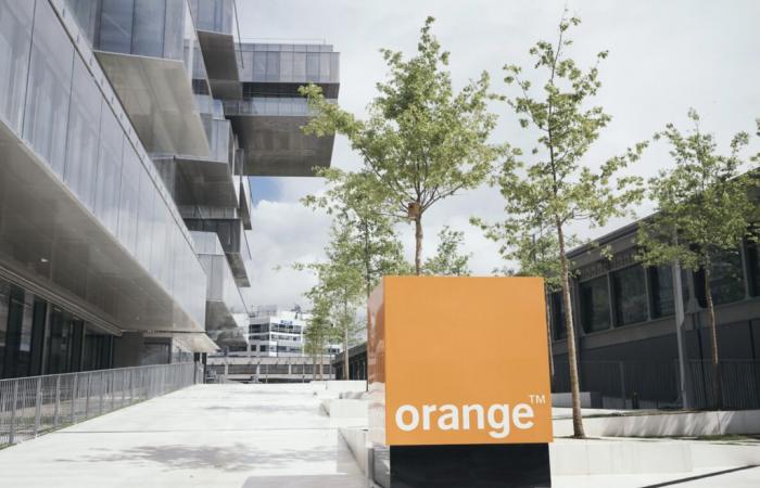 L’Arcep étend la zone sans obligation tarifaire sur la boucle locale optique dédiée d’Orange