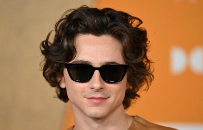 Quand Timothée Chalamet apparaît dans le concours de sosies pour… Timothée Chalamet