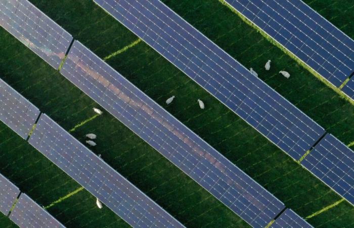 Le projet de champ photovoltaïque Artix comprendra plus de panneaux 18,00