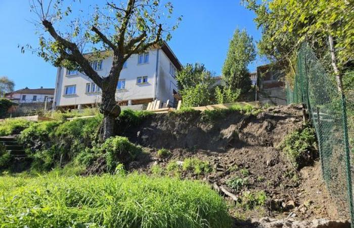 Les travaux du futur centre de soins pour mammifères en Haute-Vienne interrompus par les intempéries