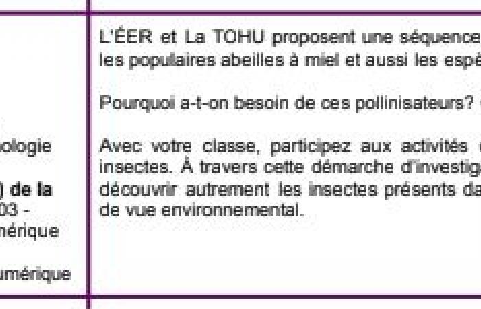 Des ressources pour répondre aux besoins spécifiques des étudiants surdoués