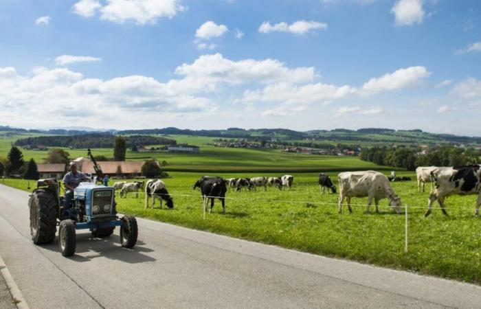 Le gouvernement fribourgeois veut soutenir davantage le monde agricole