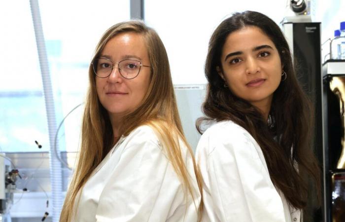 Adeline et Jehanne lauréates du Prix Jeunes Talents, qui sont ces deux Marseillaises du futur de la science ?