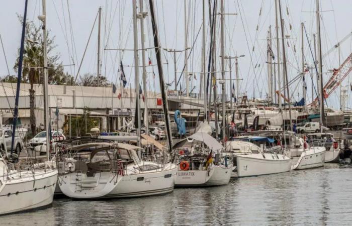 Le Territoire de l’Ouest accueille le World ARC Rally, une escale mondiale pour les passionnés de voile