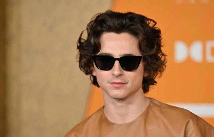 VIDÉO. Quand Timothée Chalamet participe à un concours de sosies… de Timothée Chalamet