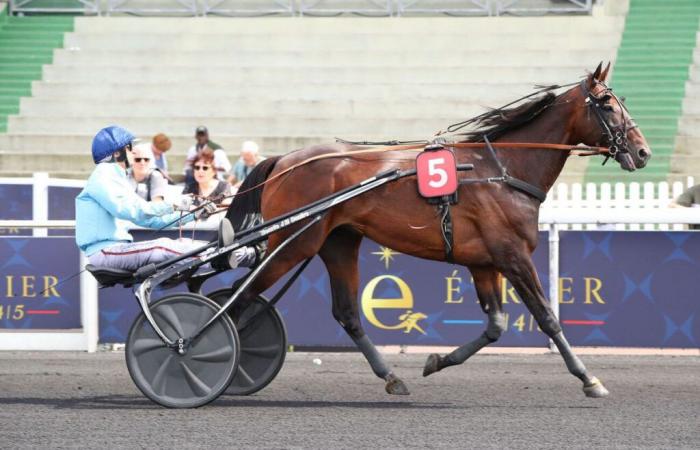 Jeudi 31/10 à Vincennes – Prix des Cévennes (Gr.III) : forfaits